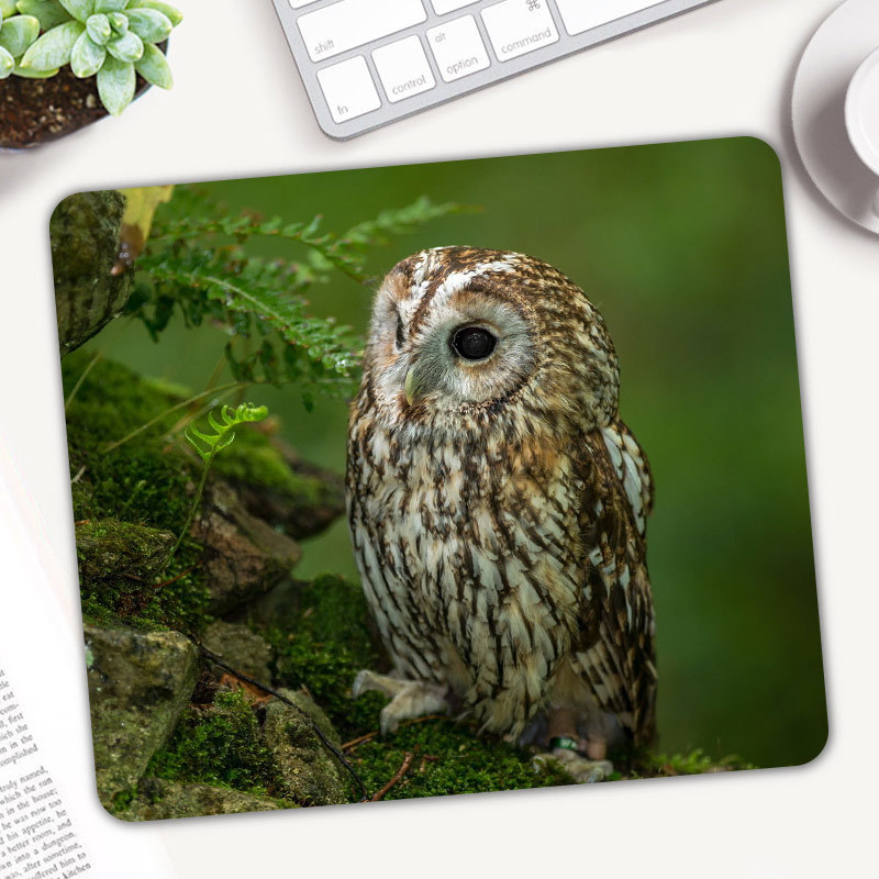 Cute Animal Owl Gaming Mouse P - đánh giá và giá Gaming Accessories On Sale