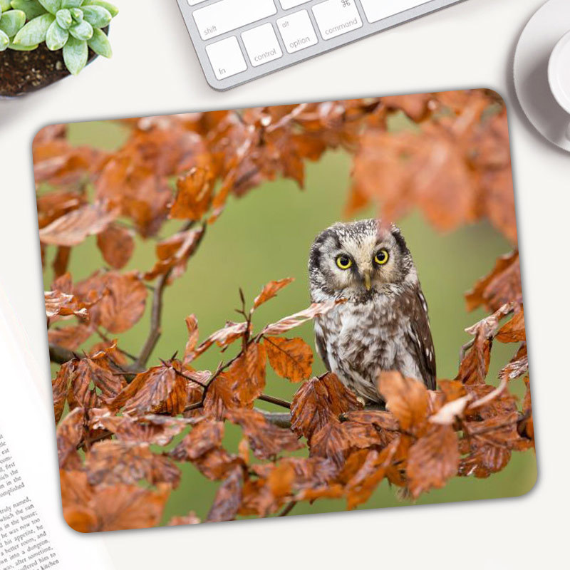 Cute Animal Owl Gaming Mouse P - đánh giá và giá Gaming Accessories On Sale