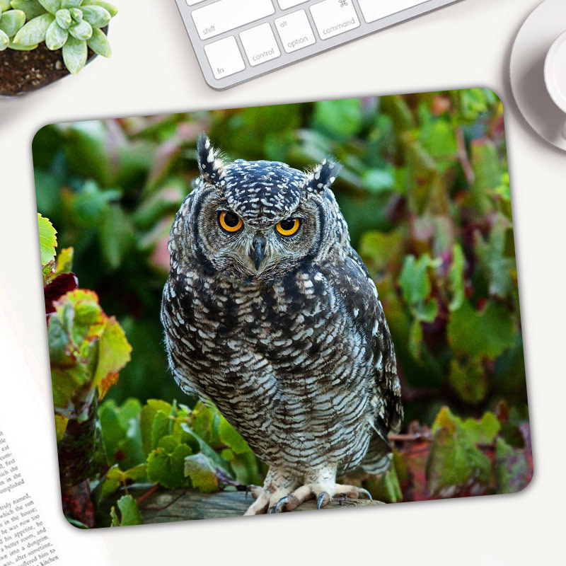 Cute Animal Owl Gaming Mouse P - đánh giá và giá Gaming Accessories On Sale